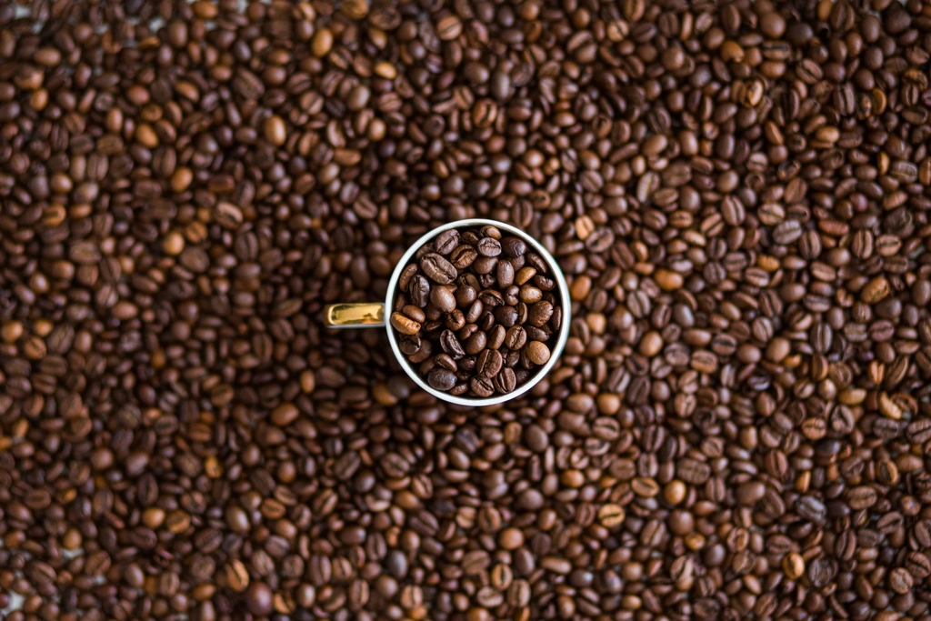 Free coffee beans photo